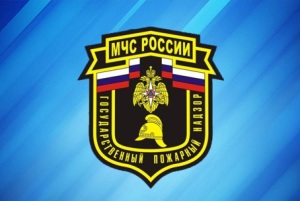 День сотрудников органов дознания МЧС России. День сотрудников органов дознания МЧС России.
